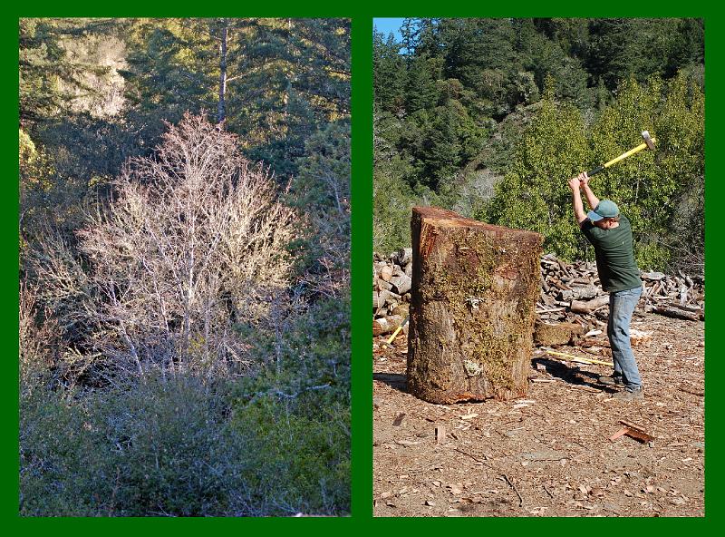 Scenery and Ken.jpg - (L): Part of the scenery where the chipping / splitting crew worked;  (R): Ken Henry tackles one of the larger pieces needing to be split.